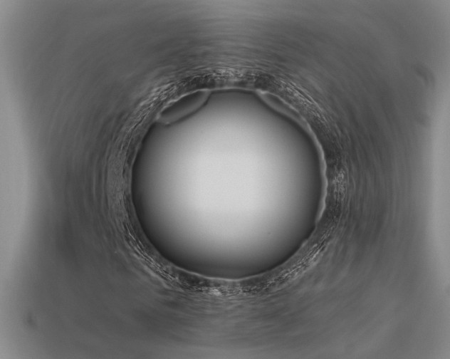 X0000113530961200909181132