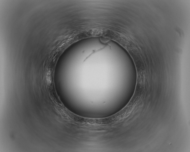 X0000113530962200909181132