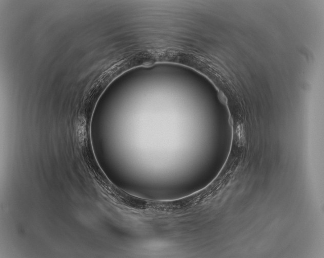 X0000113530963200909181131