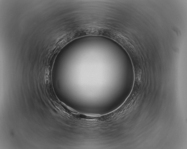 X0000113530964200909181131