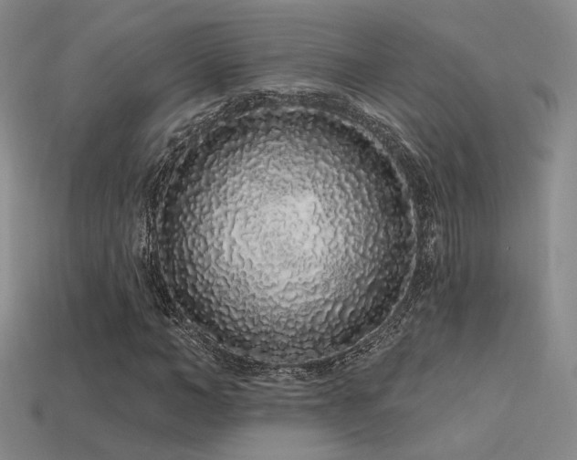X0000113530966200909181131