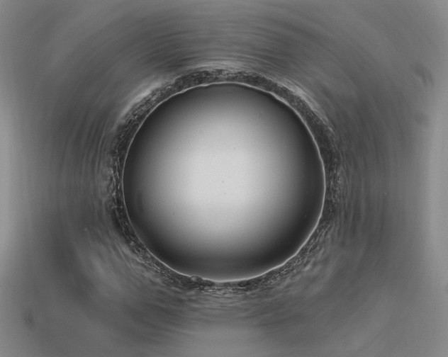 X0000113530967200909181131