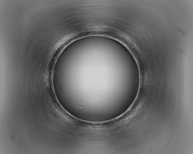 X0000113530970200909181131