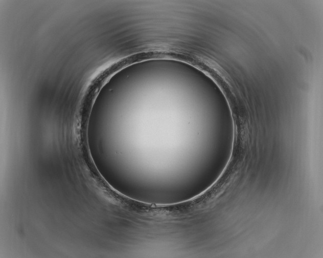 X0000113530971200909181131