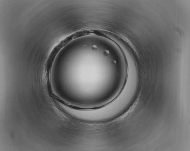 X0000113530973200909181131