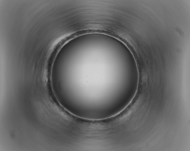 X0000113530979200909181131