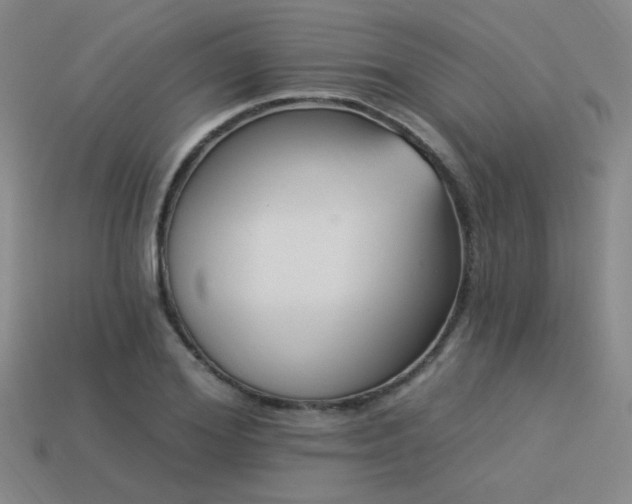 X0000113530980200909181131