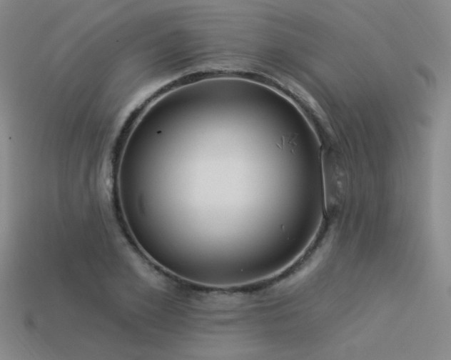 X0000113530981200909181131
