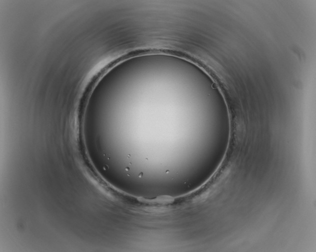 X0000113530982200909181131