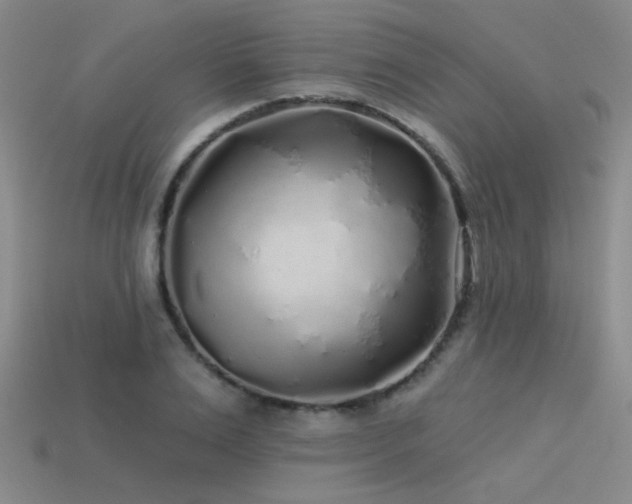 X0000113530983200909181131