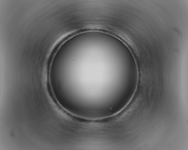 X0000113530984200909181131