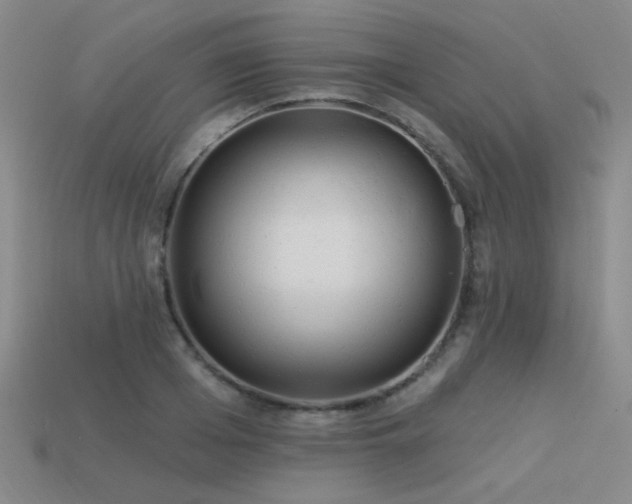 X0000113530985200909181131