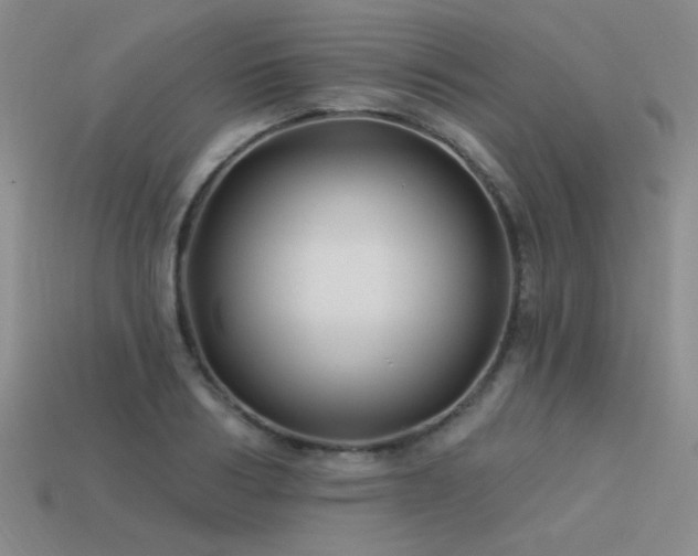 X0000113530986200909181131