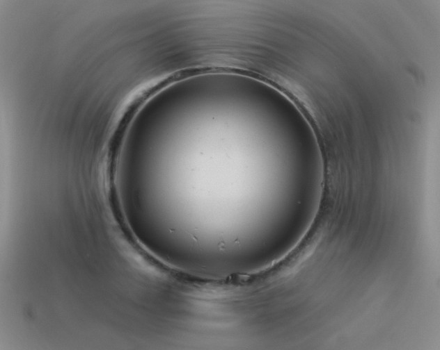 X0000113530987200909181131