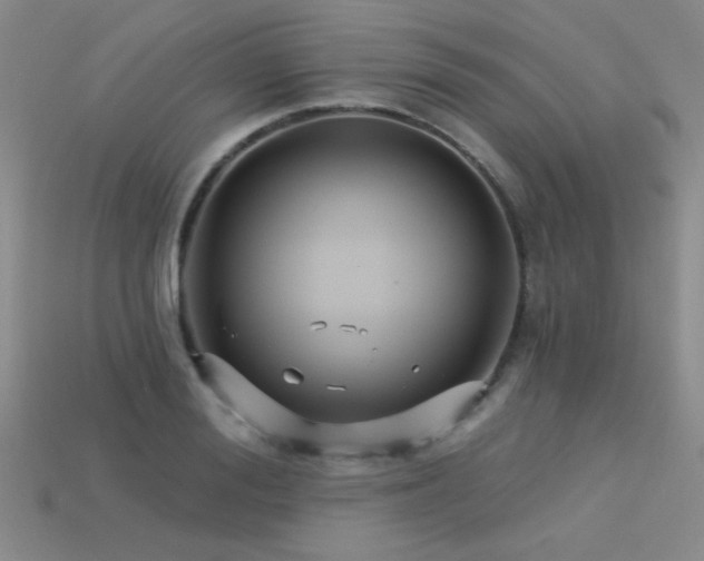 X0000113530988200909181131