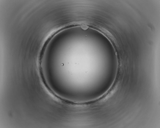 X0000113530989200909181131