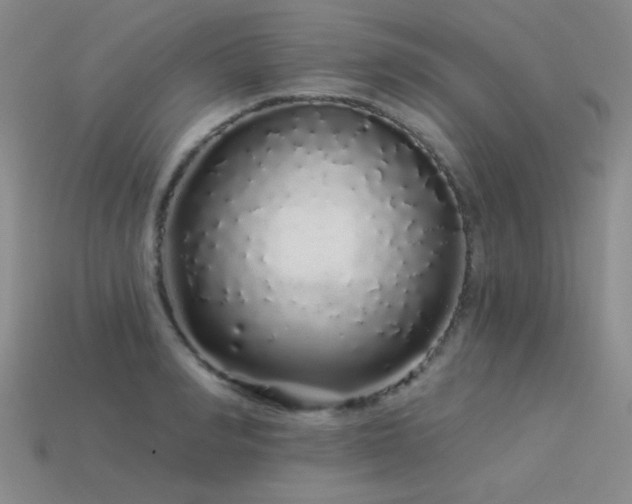 X0000113530990200909181131