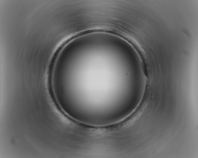 X0000113530991200909181131