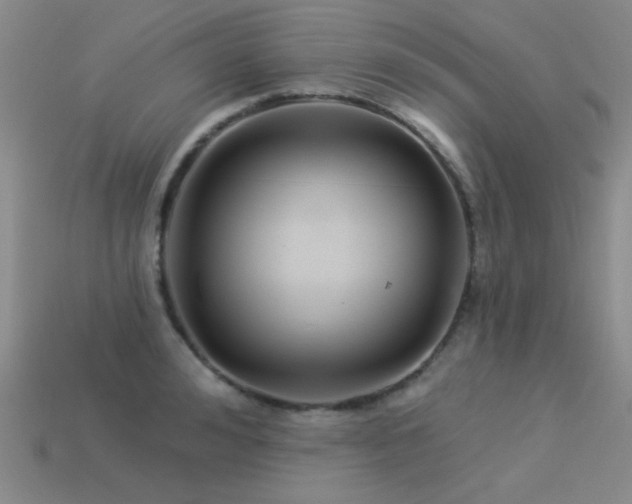 X0000113530992200909181131