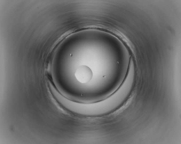 X0000113530993200909181131