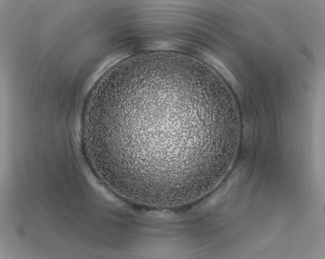 X0000113530994200909181131