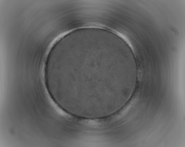 X0000113530995200909181131