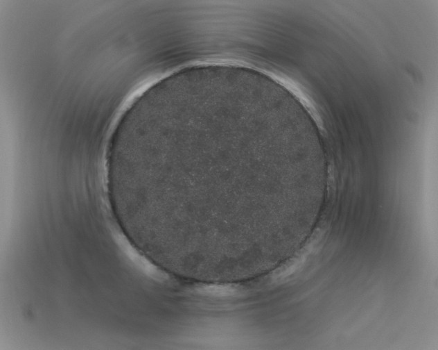 X0000113530998200909181131