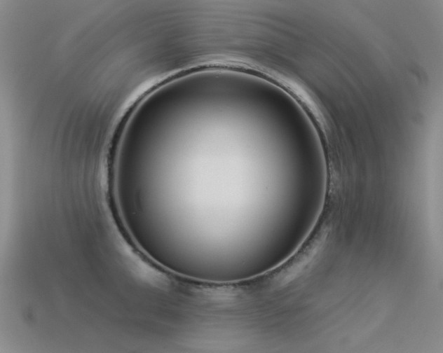 X0000113530999200909181131