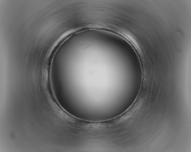 X0000113531000200909181131