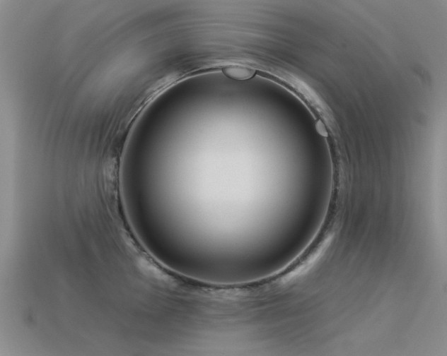 X0000113531001200909181131