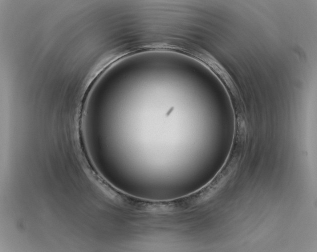 X0000113531002200909181131