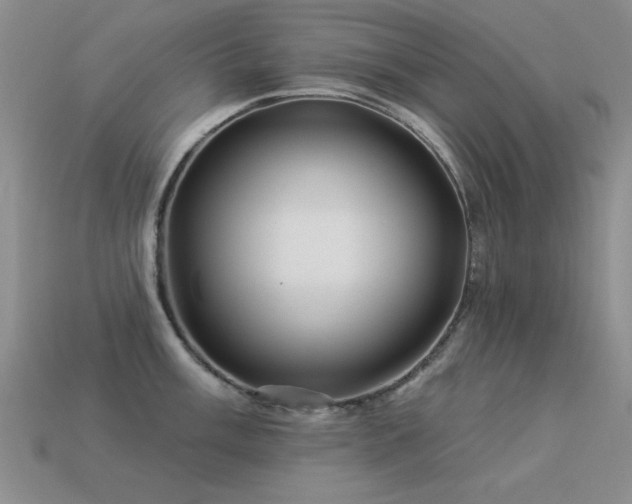 X0000113531003200909181131