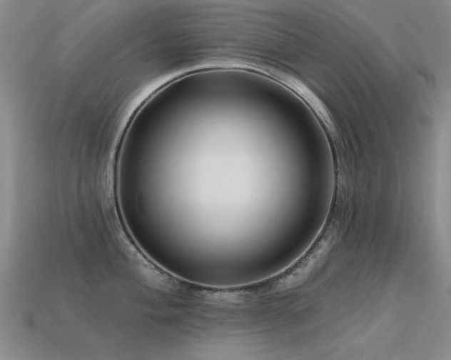 X0000113531004200909181131