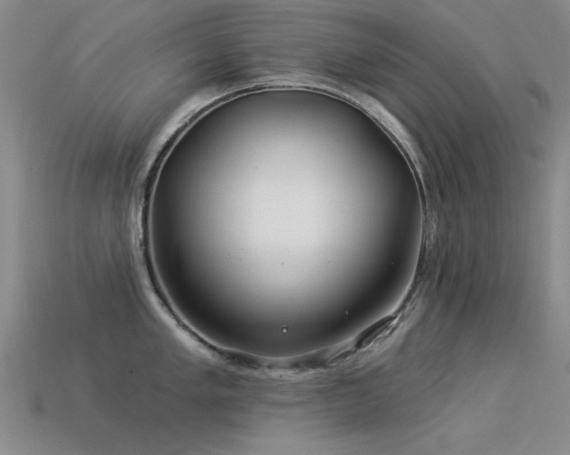 X0000113531005200909181131