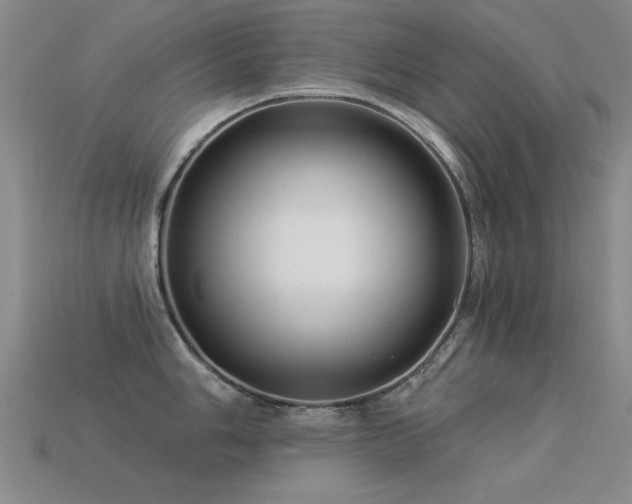 X0000113531006200909181131