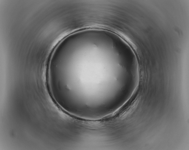 X0000113531007200909181131