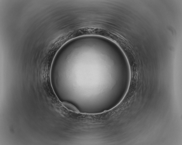 X0000113531014200909181130