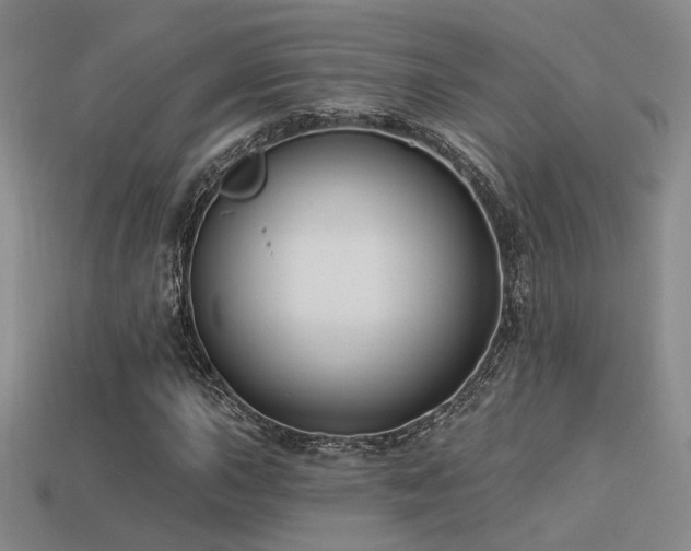 X0000113531015200909181130
