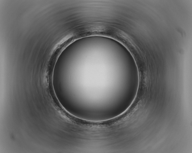 X0000113531018200909181130