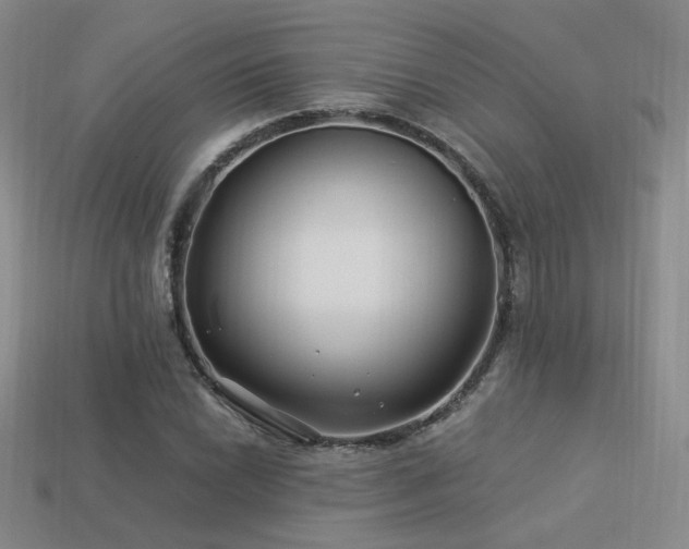 X0000113531022200909181130