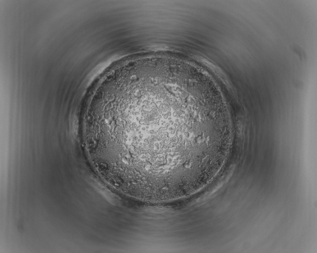 X0000113531023200909181130