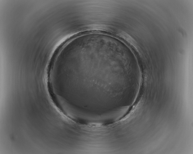 X0000113531024200909181131
