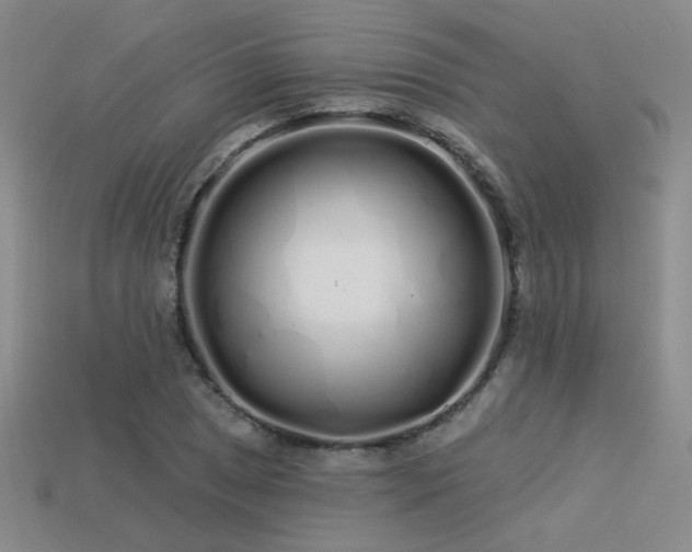 X0000113531025200909181131