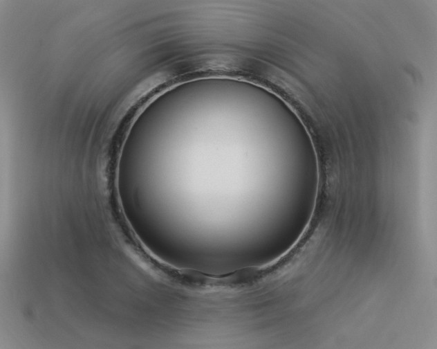 X0000113531026200909181131