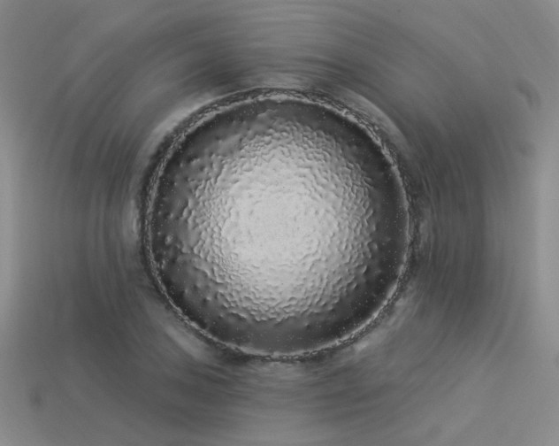 X0000113531027200909181131