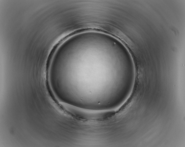 X0000113531028200909181131