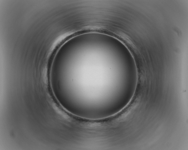 X0000113531030200909181131