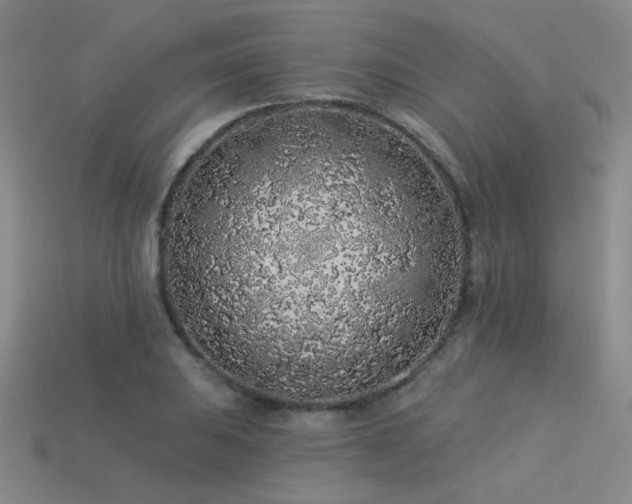 X0000113531031200909181131