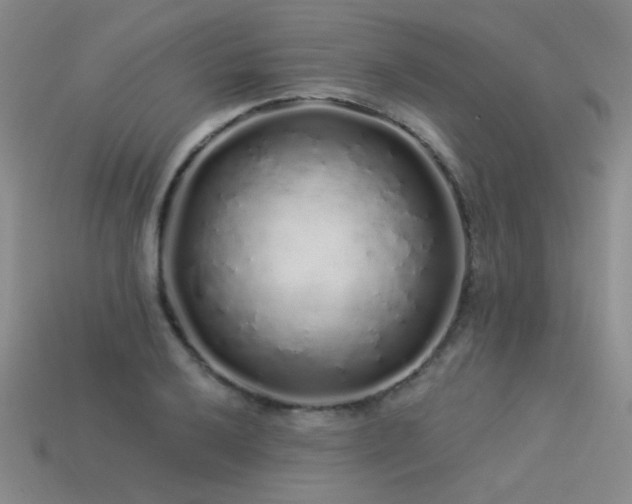 X0000113531032200909181131
