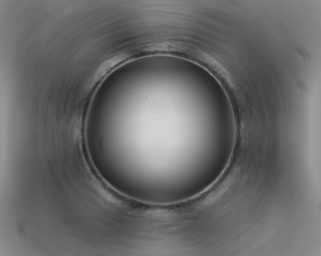 X0000113531033200909181131